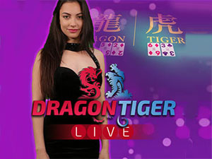 DRAGON TIGER
